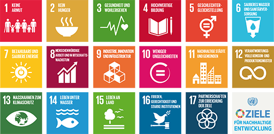 Die Agenda 2030 mit ihren Zielen